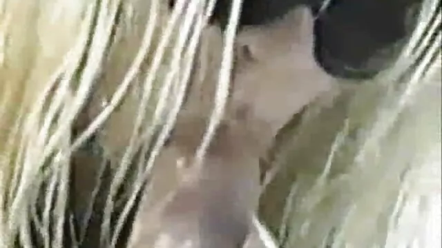 Grande negro a tope porno latino real bbw 4
